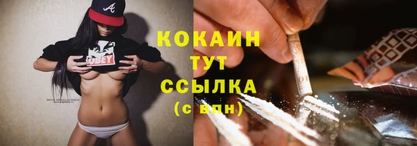 винт Бородино