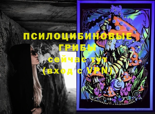 винт Бородино