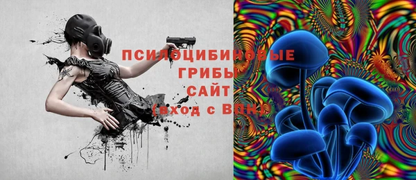 винт Бородино