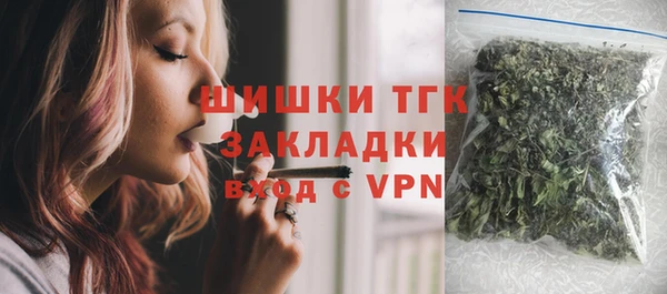 винт Бородино